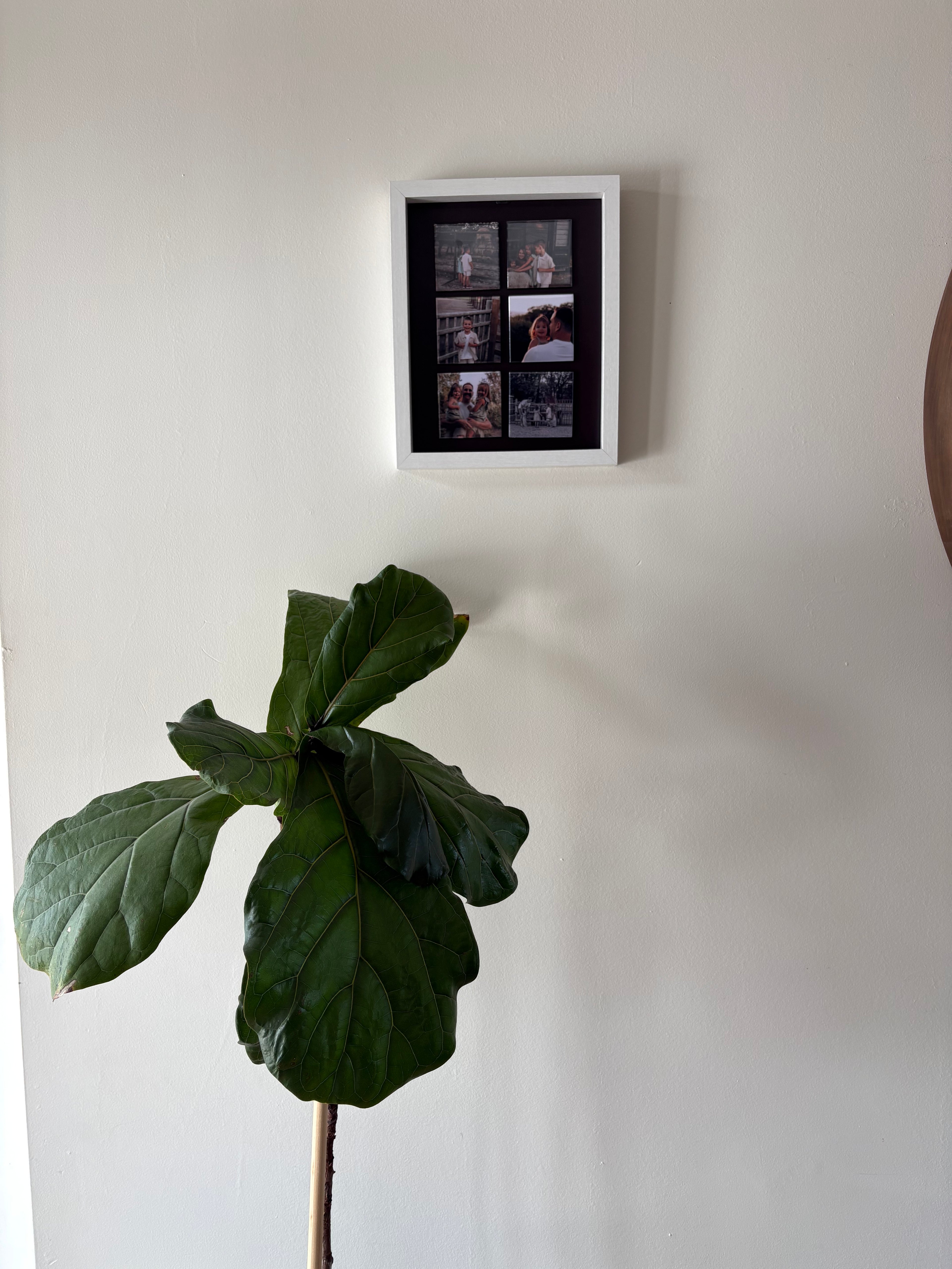 Magnetic Frames- 8"x10"